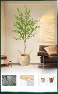 Indoor Living Room Decorative Faux-Beech Tree