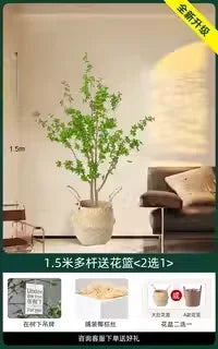 Indoor Living Room Decorative Faux-Beech Tree