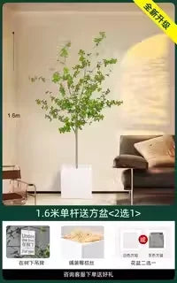 Indoor Living Room Decorative Faux-Beech Tree